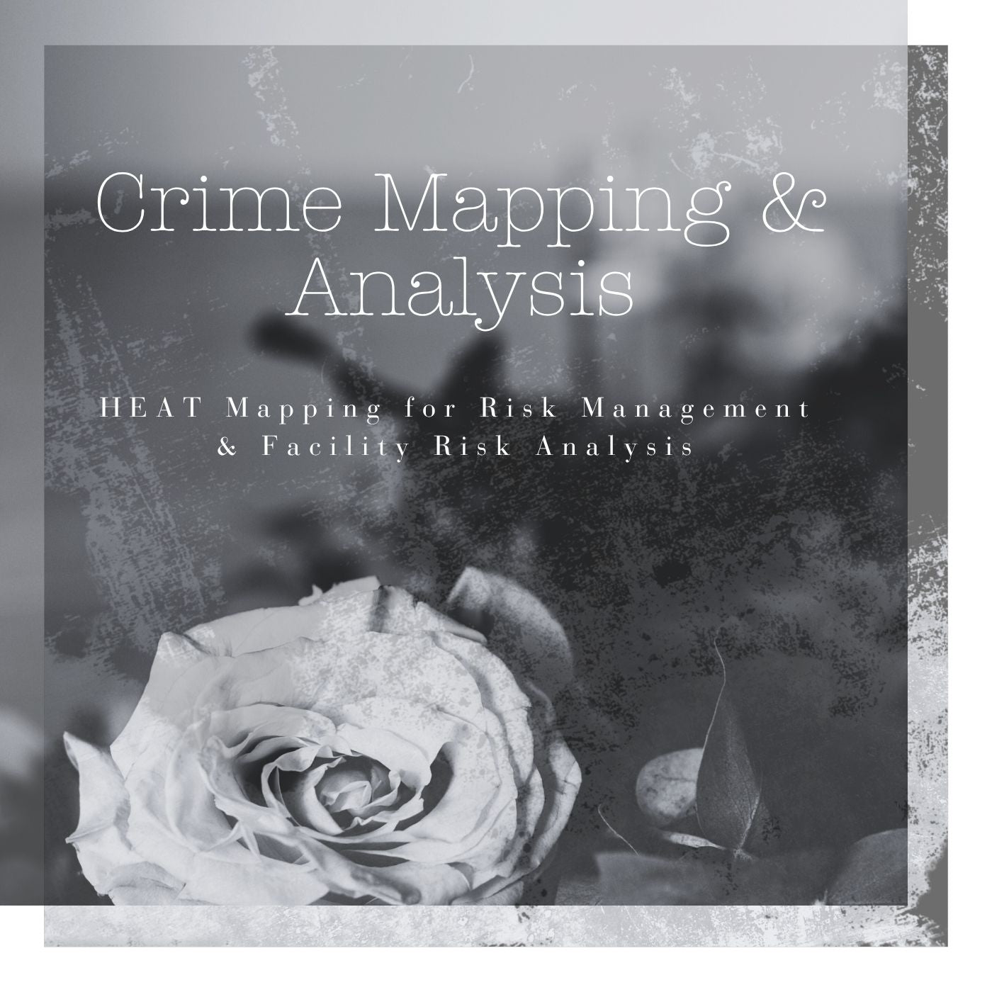Crime Mapping & Incident Analysis